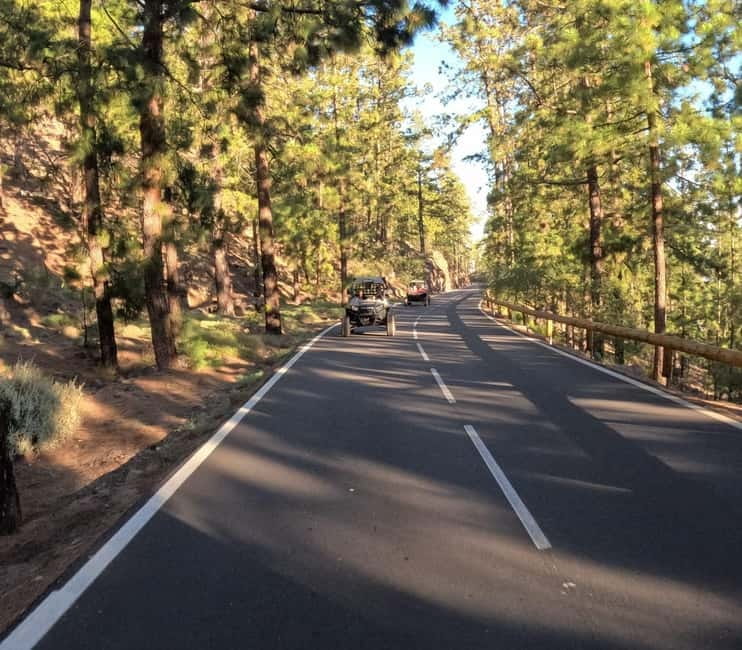 Tenerife: Teide National Park and Volcano Buggy Tour - Mirador de Los Poleos: the kind of view you can’t copy easily