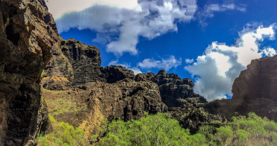 Tenerife: Teide National Park & Teno Rural Park Private Tour - Key highlights to look forward to