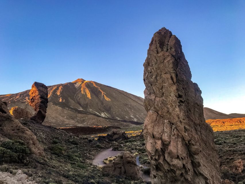 Tenerife: Teide National Park & Teno Rural Park Private Tour - Rising through canary pine forests toward cloud-top views