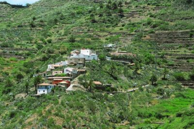 Tenerife Tour Mt. Teide and the Towns of Icod, Garachico, Masca - Morning logistics from Los Cristianos (and why timing matters)
