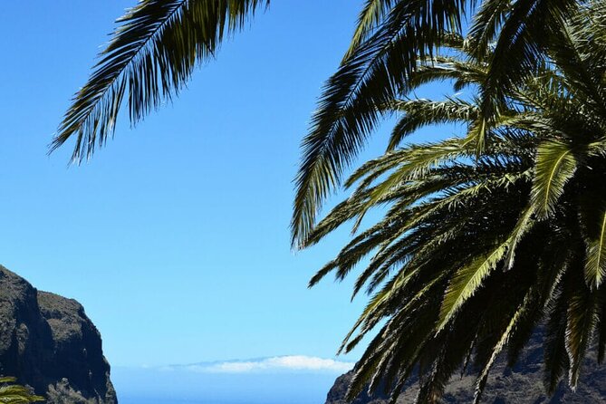 Tenerife Tour Mt. Teide and the Towns of Icod, Garachico, Masca - Price and value: what $45.84 buys you on Tenerife