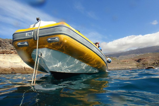 Tenerife Turtle and Snorkel Tour from Costa Adeje - Guide Quality Makes or Breaks It: Names, Coaching, and Group Feel