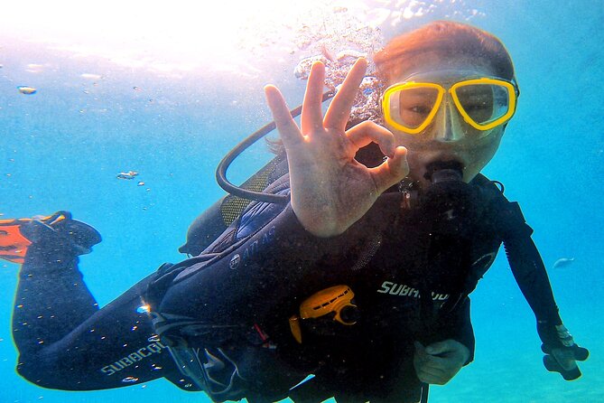 Tenerife Under The Sea - dive into 1-1 personalised experience - What You Can See: Marine Life Around Tenerife