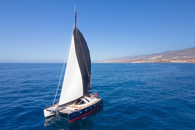 Tenerife Whale watching on private charter - Crew service and live commentary: comfort with real information
