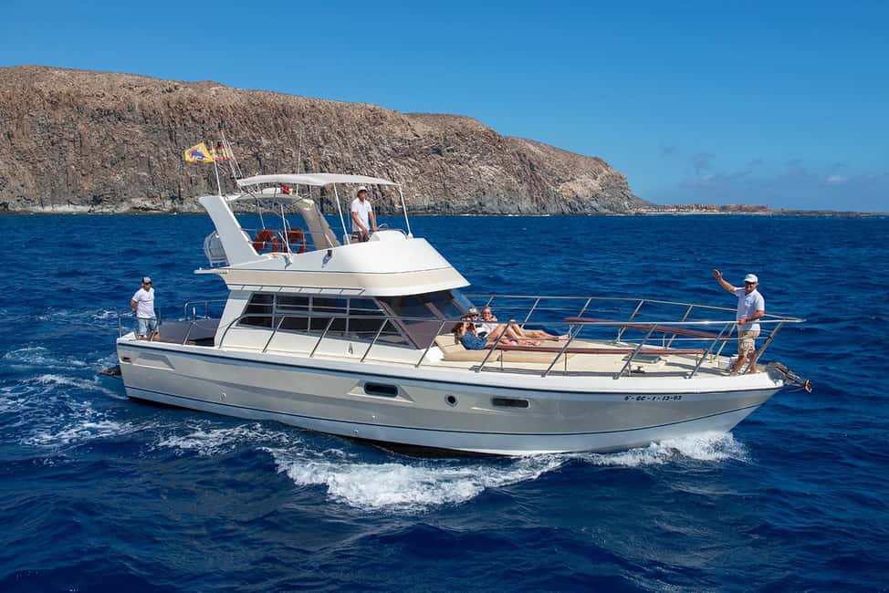 Tenerife: Whale watching tour with swim and lunch on yacht for 22 passengers - Key highlights worth planning for