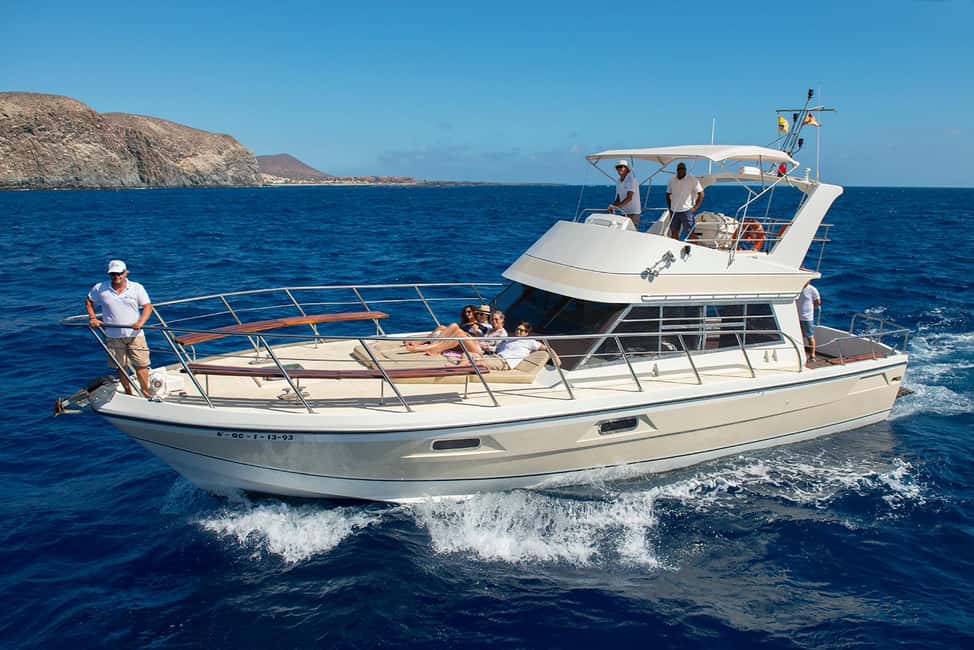 Tenerife: Whale watching tour with swim and lunch on yacht for 22 passengers - Pickup, transfer, and the rhythm of a 3-hour whale cruise
