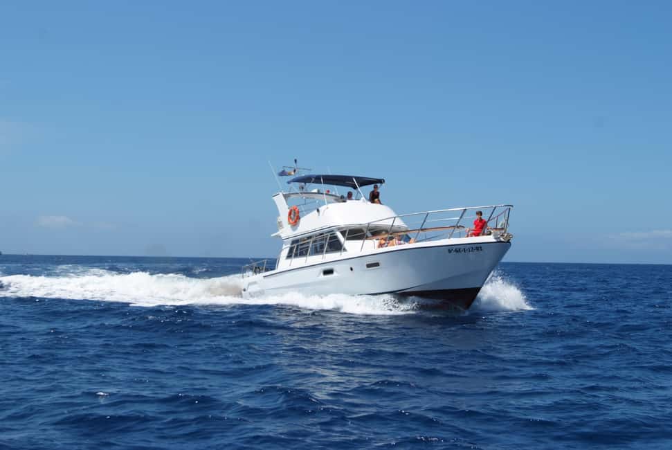 Tenerife: Whale watching tour with swim and lunch on yacht for 22 passengers - Swim stop by the cliffs: what to bring and what to expect