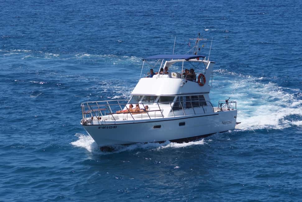 Tenerife: Whale watching tour with swim and lunch on yacht for 22 passengers - Lunch on the high seas: menu, drinks, and why it feels worth it