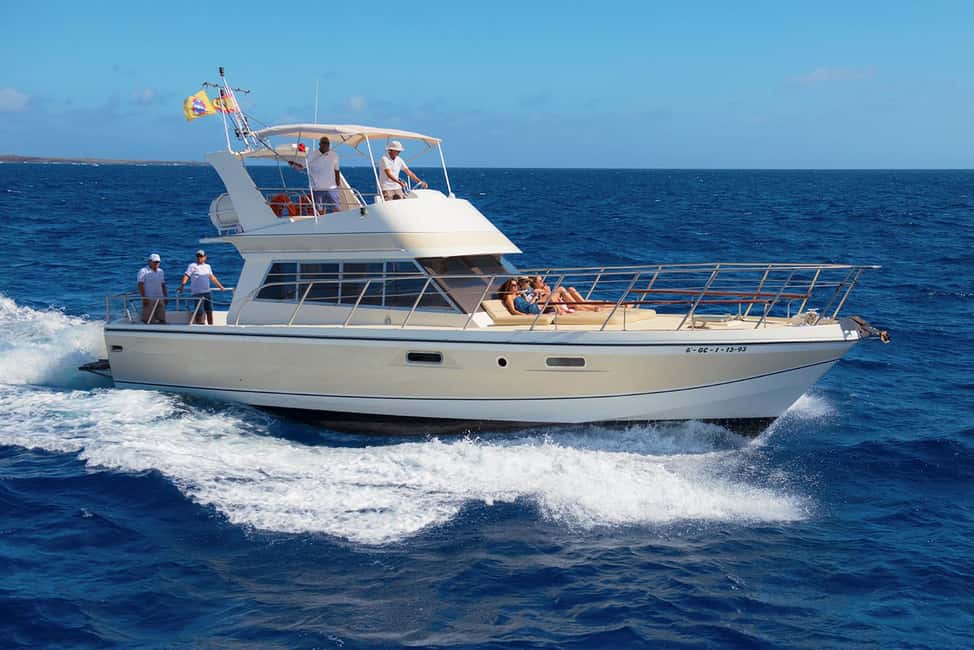 Tenerife: Whale watching tour with swim and lunch on yacht for 22 passengers - The Neptuno yacht experience: views, decks, and real comfort