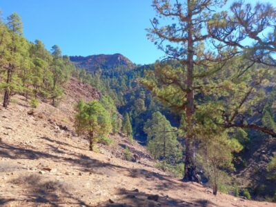 The Wow Factor Walk - The Route: 10 km That Feels Like More