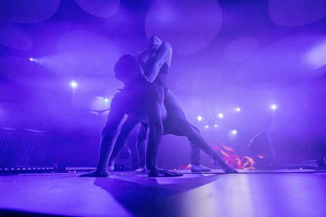Ticket for Scandal Dinner Show in Santa Cruz de Tenerife - Key Points Before You Go