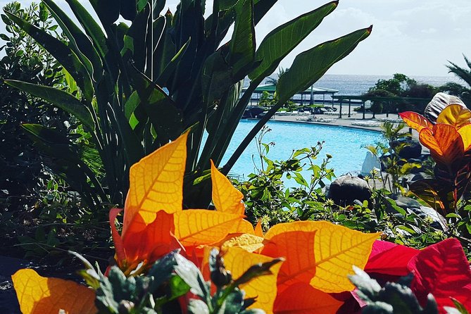 Tour Around the Island - Private VIP Tour in Tenerife - Garachico: Tenerife’s first capital in a compact visit