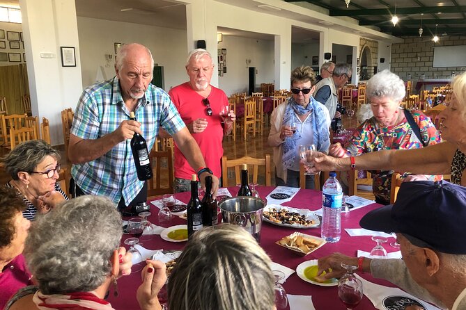 Tour Visiting banana plantation and winery in Tenerife - 8:00 am to the Vineyards: How the Timing and Pickup Really Feel