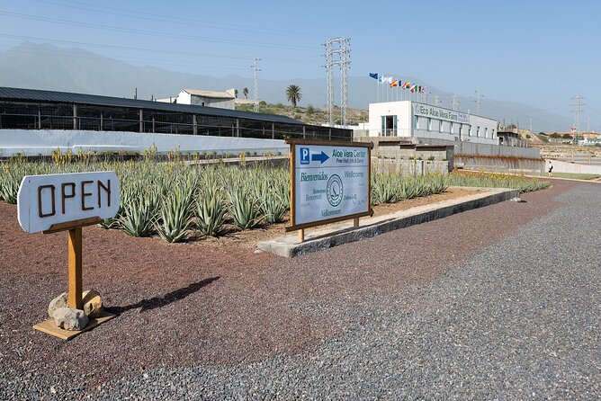 Tour Visiting banana plantation and winery in Tenerife - The Mountain Road to Vilaflor and Lagar de Chasna’s Wine Tasting