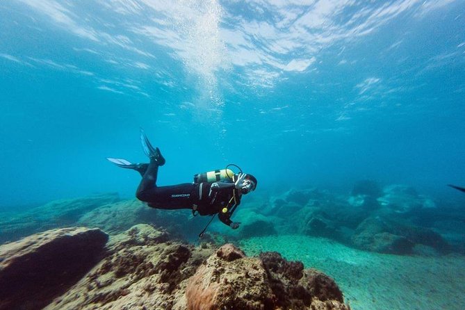 Try Dive in Tenerife - What Happens Once You’re in the Water (Cleanup + Marine Life Spotting)