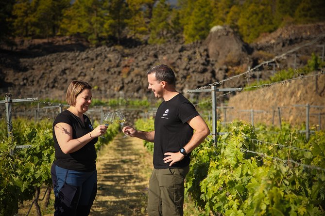 Visit to Arafo Mountain Vineyard and Organic Wine Tasting - Key Highlights You’ll Actually Feel