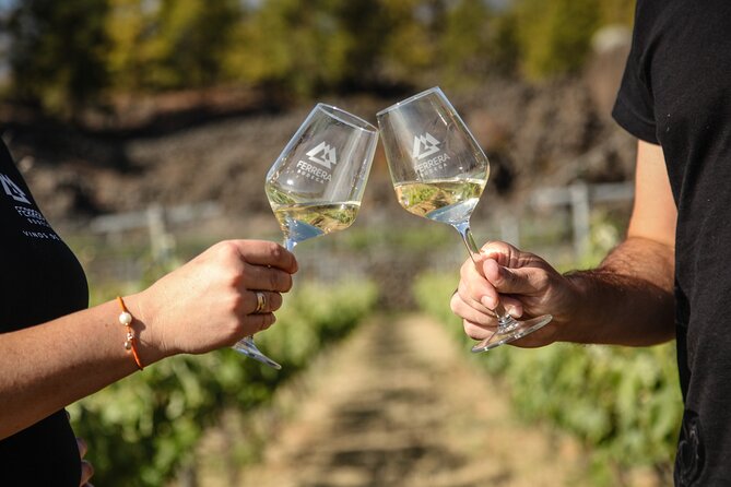 Visit to Arafo Mountain Vineyard and Organic Wine Tasting - Where Arafo Mountain Wine Fits (And Why It’s Worth Your Time)