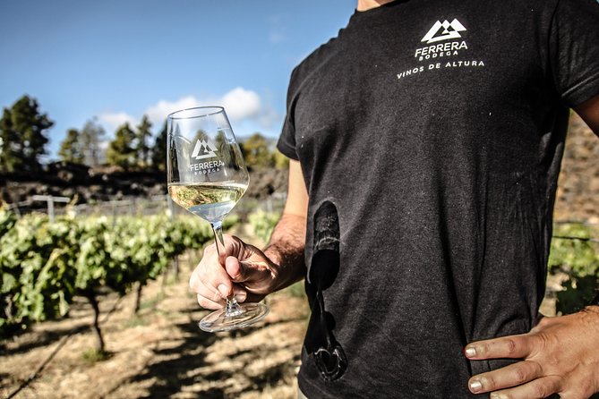 Visit to Arafo Mountain Vineyard and Organic Wine Tasting - The Ecological Vineyard Walk at Almost 1,000 Meters