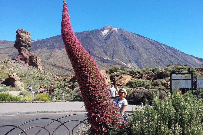 Volcano Teide - Masca ravine. Guided Tour from Puerto de la Cruz - Tenerife - Price and What Feels Like True Value at $77.24
