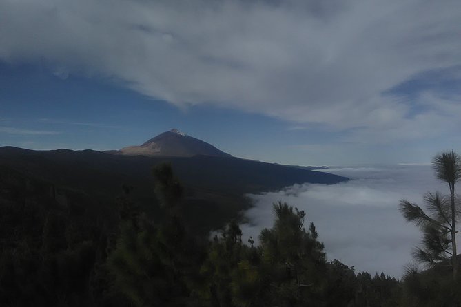 Volcano Teide National Park And North Of The Island VIP TOUR - Key Highlights Worth Your Attention