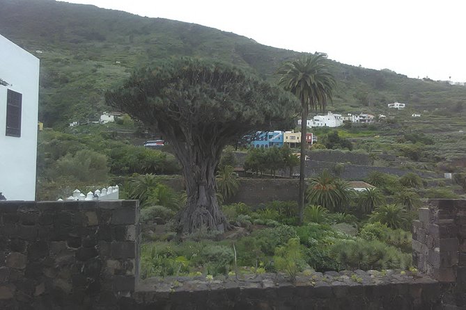 Volcano Teide National Park And North Of The Island VIP TOUR - Getting Started in La Laguna, Tenerife’s UNESCO Old Town