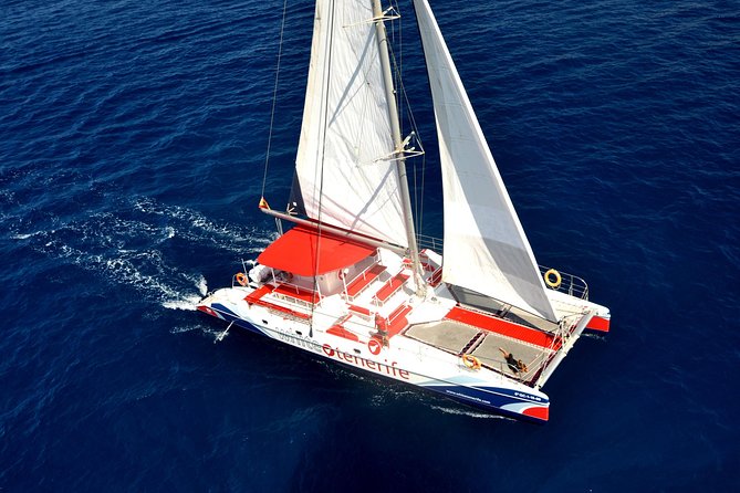 Watching and Listening Whales visiting Los Gigantes&Masca. Food&drinks included - Key things to know before you sail