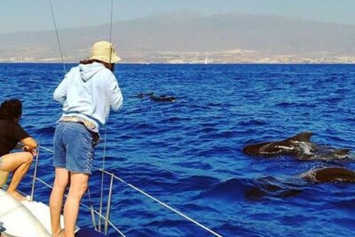 Whale and Dolphin Small Group Sailing from Tenerife South - The captain and onboard vibe: why the host style affects your day