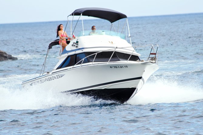 Whale and dolphin watching tour Los Gigantes and Masca in small groups - Key highlights