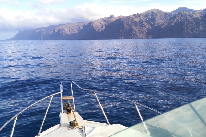 Whale and dolphin watching tour Los Gigantes and Masca in small groups - Group size and the value of staying small
