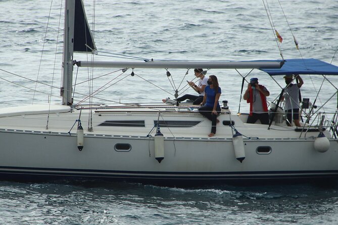 Whale & Dolphin Watching Boat Trip in Tenerife On a Sailing Boat (3 Hr) - Small Group Sailing (Max 12) That Keeps Sightings From Feeling Chaotic