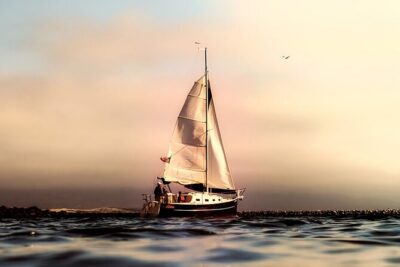 Whale & Dolphin Watching Boat Trip in Tenerife On a Sailing Boat (3 Hr) - Puerto Colón Departure: What the First Phase Feels Like
