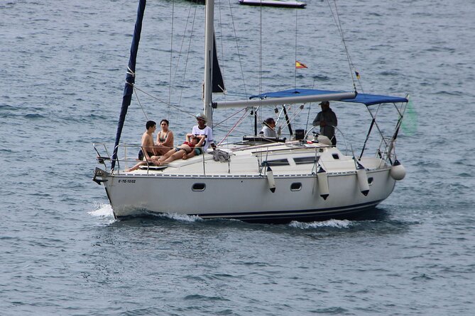 Whale & Dolphin Watching Boat Trip in Tenerife On a Sailing Boat (3 Hr) - What You Learn About Tenerife’s Whales and Dolphins