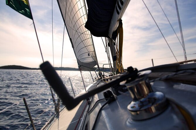 Whale & Dolphin Watching Boat Trip in Tenerife On a Sailing Boat (3 Hr) - Price and Value: Is $52.35 Worth It?