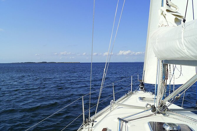 Whale & Dolphin Watching Boat Trip in Tenerife On a Sailing Boat (3 Hr) - Timing: How to Pick One of the Three Daily Departures
