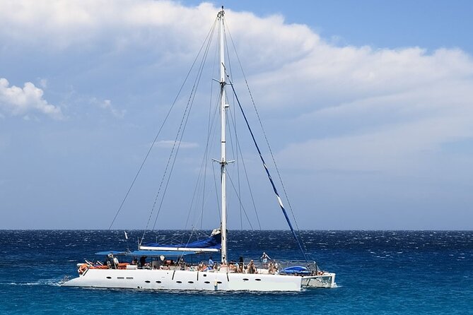 Whale & Dolphin Watching in Tenerife (Puerto Colon) On a Large Catamaran - Key things worth knowing before you go
