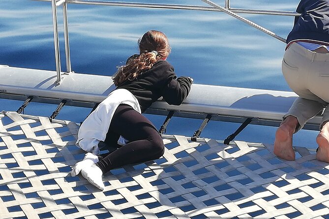 Whale & Dolphin Watching With Mustcat Virgin Coast Trip On a Large Catamaran - Food + open bar: the cost-saver that makes the 3-hour block feel fair