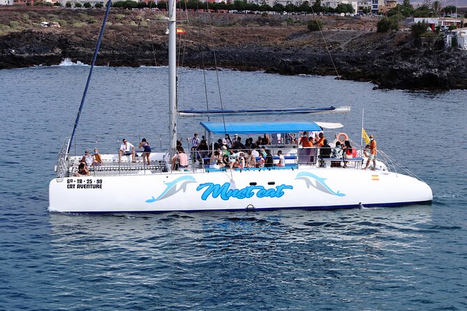 Whale & Dolphin Watching With Mustcat Virgin Coast Trip On a Large Catamaran - Group size and timing: what “maximum 70 travelers” means for your experience