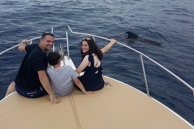 Whale watching and snorkelling in the whale sanctuary - A 3-hour Tenerife whale watching cruise from Playa San Juan