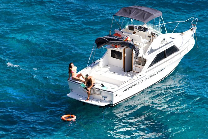 Whale watching and snorkelling in the whale sanctuary - On-board education: volcanology, meteorology, and cetacean facts