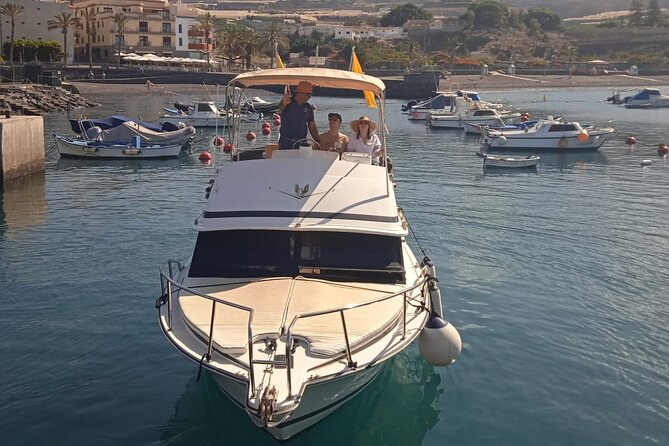 Whale watching and snorkelling in the whale sanctuary - Comfort and crew approach on the Sea Passion boat