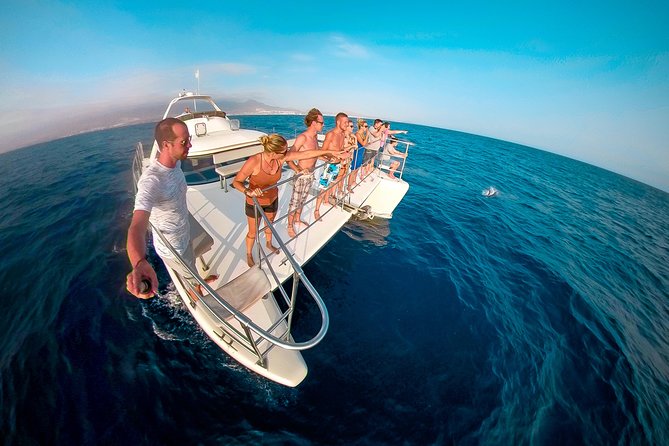 Whale Watching Catamaran Cruise with Transfer, Buffet by MC - Key highlights to know before you go