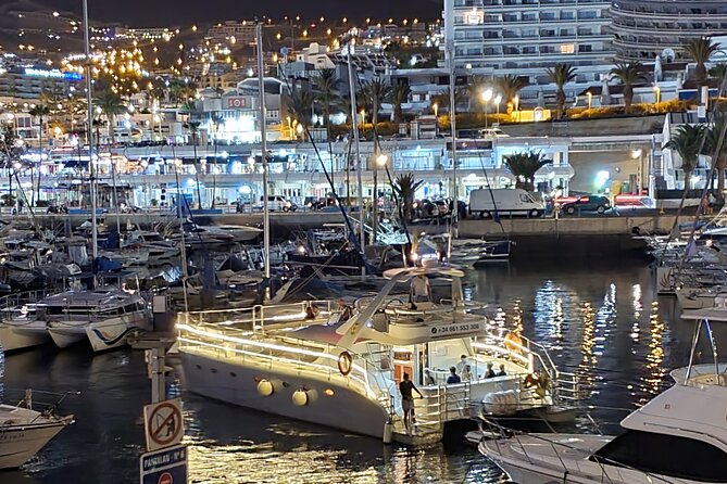 Whale Watching Catamaran Cruise with Transfer, Buffet by MC - The swim stop (and possible snorkel time): what to bring
