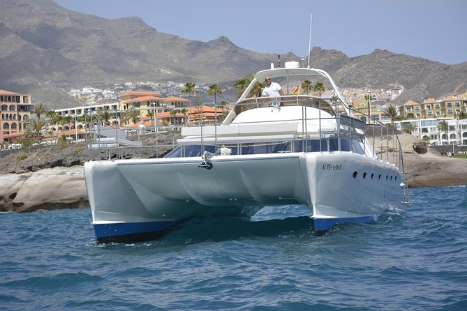Whale Watching Catamaran Cruise with Transfer, Buffet by MC - Onboard comfort: decks, shade, space, and a real restroom
