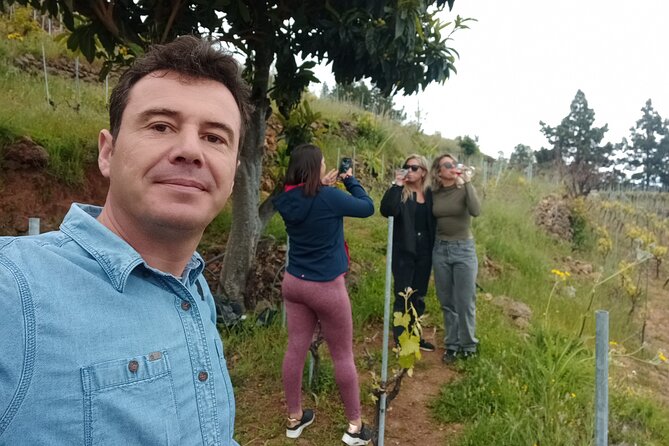 Wine, Canarian Tapas, Culture, VIP Private tour - photos included - Quick hits: what makes this Tenerife day different