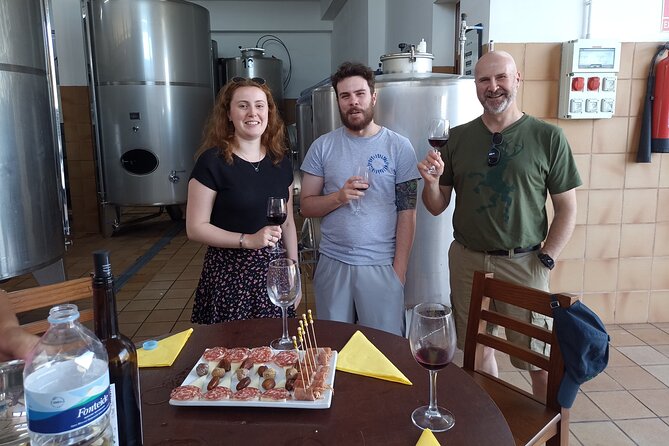Wine, Canarian Tapas, Culture, VIP Private tour - photos included - Why this VIP Tenerife wine-and-culture day works so well