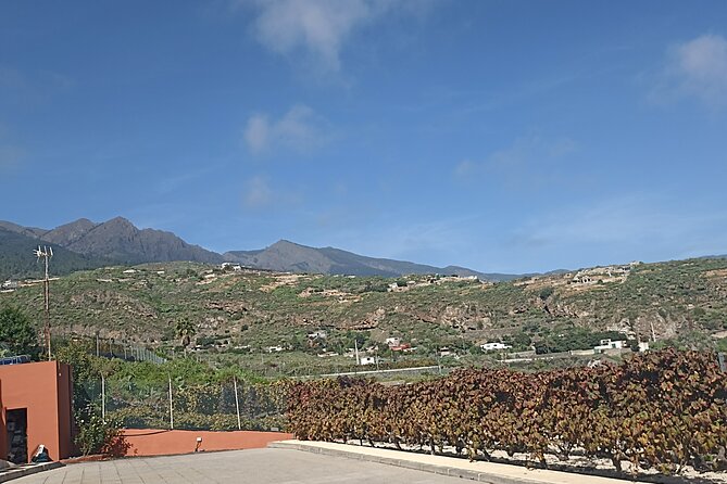 Wine, Canarian Tapas, Culture, VIP Private tour - photos included - Stop 1: Vilaflor winery above the Atlantic for wine and Canarian tapas