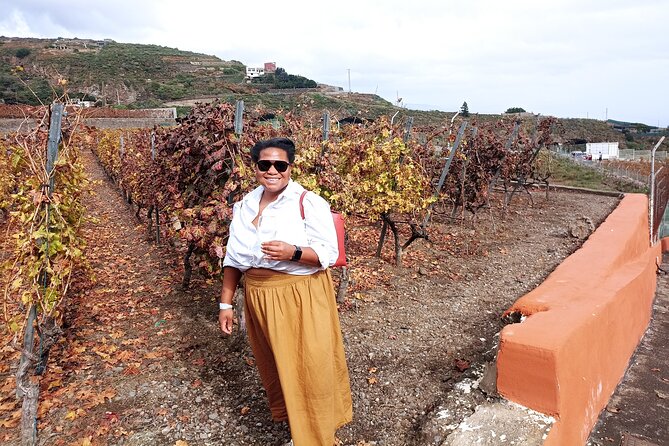 Wine, Canarian Tapas, Culture, VIP Private tour - photos included - Stop 3: Vilaflor old town time for colonial church and pine forests