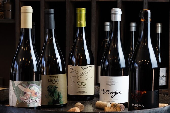 Wine Tasting Experience in Tenerife - The masterclass format: what you actually taste