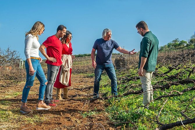 Winery Tour and Tasting in Tenerife with the Sommelier - Meeting Your Host at C. Cruz de Leandro in El Sauzal