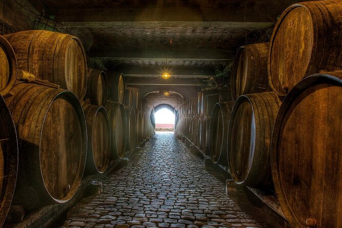 Winery Tour and Tasting in Tenerife with the Sommelier - Wine Education With a Sommelier: How You’ll Actually Learn